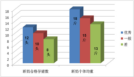 乳猪管理的核心要点