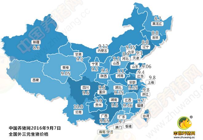 生猪价格地图表