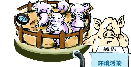 生猪禁养地区——中国电子游艺网站下载安装
