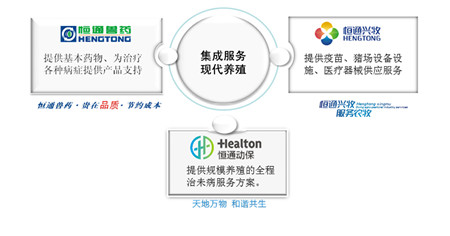 名企推荐——四川恒通