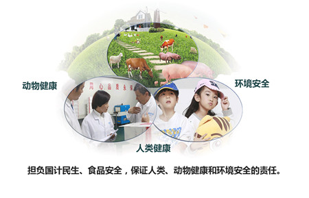 名企推荐——四川恒通