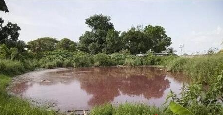 恐怖！屠夫将猪血和内脏倒入湖里 引来“吃人恶魔”！