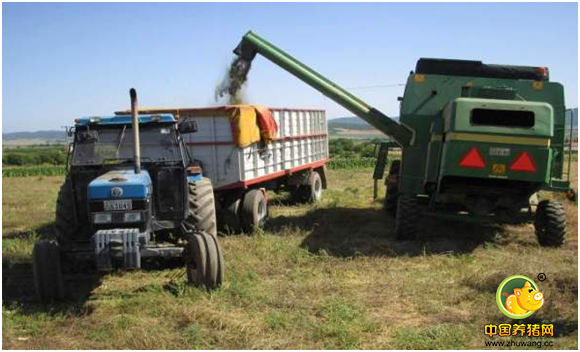 对抗细菌耐药课题 美瑞高从源头做起