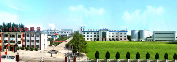 名企推荐——金河生物科技股份有限公司