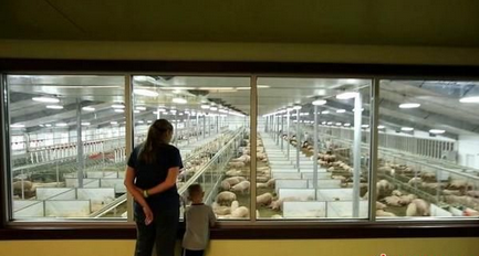 每年45万游客电子游艺网站
大冒险！美国养电子游艺网站
成旅游胜地