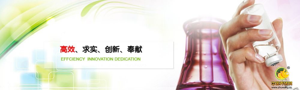 成都新精华药业有限公司 送住房 购五险 高薪聘英才