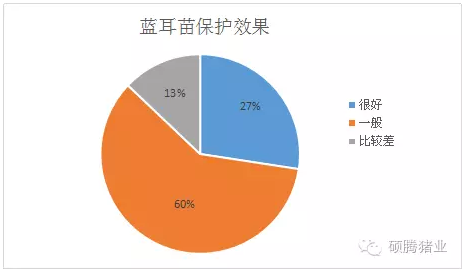 颠覆传统观念，猪瘟一次免疫就能保护仔猪到出栏？