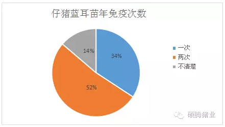 颠覆传统观念，猪瘟一次免疫就能保护仔猪到出栏？
