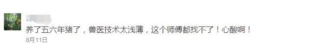 操着卖白粉的心，挣买白菜的钱！如今兽医怎么这么难？