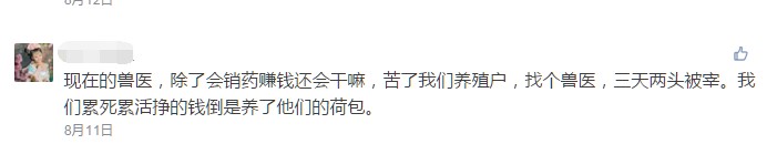 操着卖白粉的心，挣买白菜的钱！如今兽医怎么这么难？