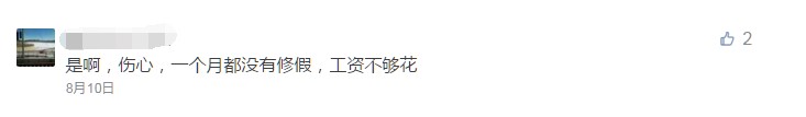操着卖白粉的心，挣买白菜的钱！如今兽医怎么这么难？