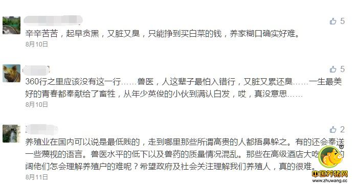 操着卖白粉的心，挣买白菜的钱！如今兽医怎么这么难？