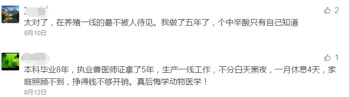 操着卖白粉的心，挣买白菜的钱！如今兽医怎么这么难？