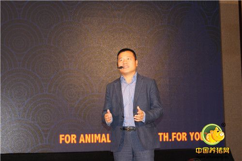 “一针防两病”——硕腾猪瘟-蓝耳二联苗“瑞兰稳”在中国率先上市