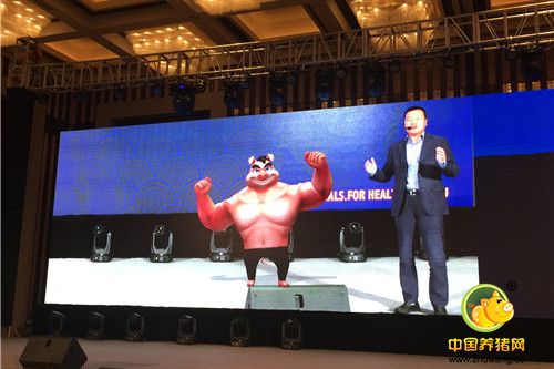 “一针防两病”——硕腾猪瘟-蓝耳二联苗“瑞兰稳”在中国率先上市
