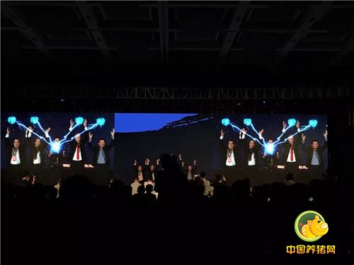 硕腾中国蓝耳猪瘟二联活疫苗“瑞蓝稳”隆重上市——每头份16.8元