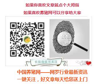 预测猪价有窍门？关于猪价哪些预测不可信？且听分析......