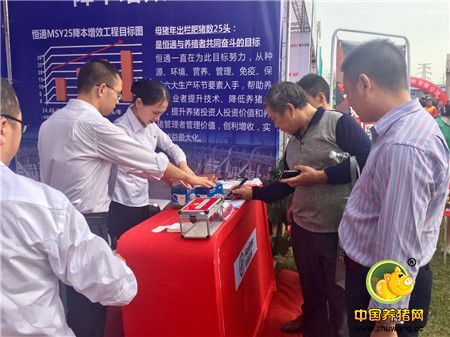 践行恒之梦—我们在行动