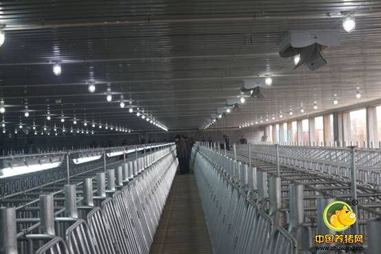 山东荣昌育种股份有限公司5000头种猪扩繁场开放日线下交流会