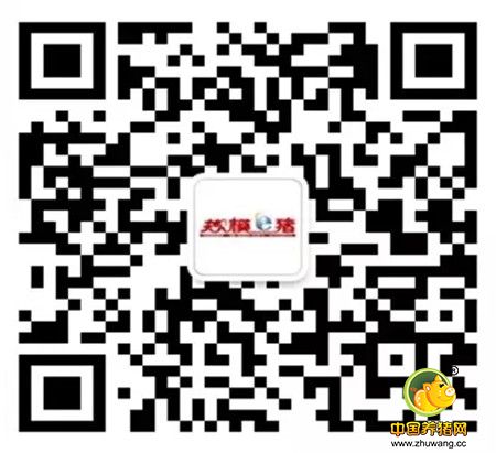 双十一，干货来袭！第5期“哈兽维科•猪兜讲坛”与您不见不散