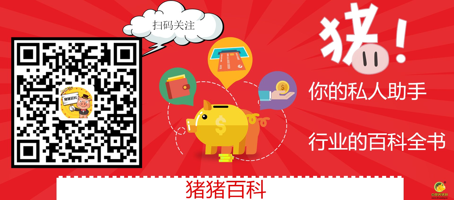 能做到的都是牛人！养猪10年也未必全懂的成本计算方法！