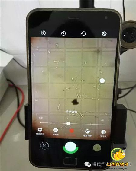 手机竟可以观察精子？原来全靠它......