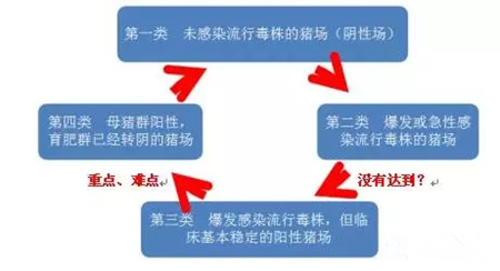 做好这些关键点，防控伪狂将略胜一筹！