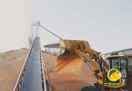 东北玉米运费再上涨 雾霾天气影响粮质