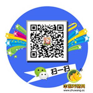 【欢乐电子游艺网站
】紧急通知，一定要看!