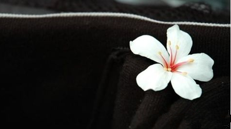 人生在世，你有你的烦，我有我的难