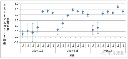 “瑞兰安”对PRRS阳性生长猪群免疫效果怎样？答案在这里！
