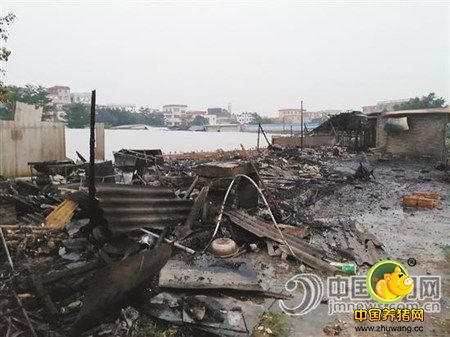江门一养电子游艺网站
起火 火势直冲二三十米高空