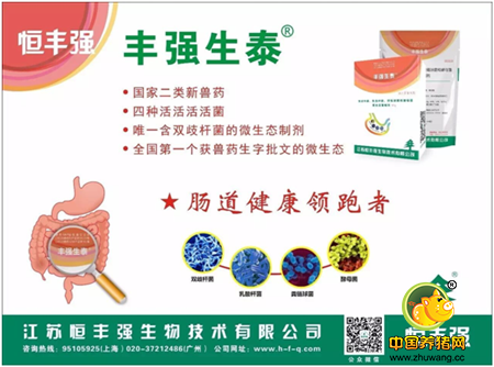 丰强生泰，扼守家禽肠道健康防线