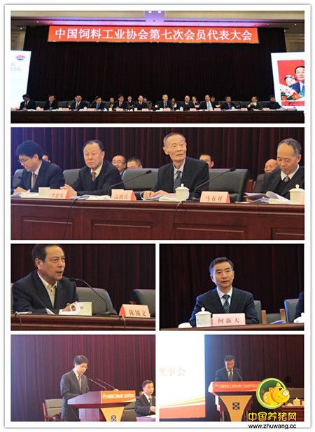 载誉归来——朱董出席中国饲料工业协会第七次会员代表大会