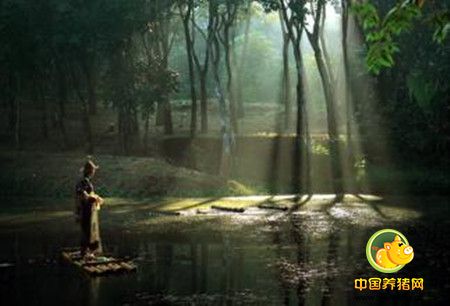 你可以穷，但千万不能习惯穷