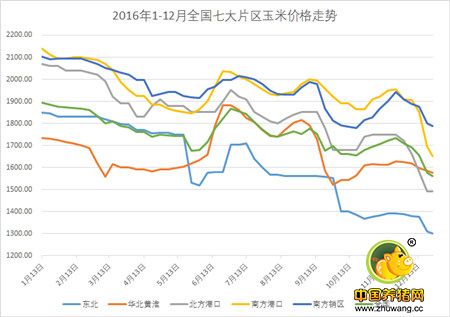 玉米大跳水！一个月下跌200元！
