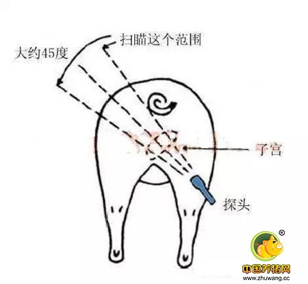 配种区域管理原则及目标