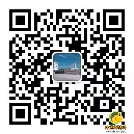叫停家庭养猪？未来农村散养户该怎么办？