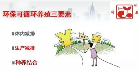 叫停家庭养猪？未来农村散养户该怎么办？