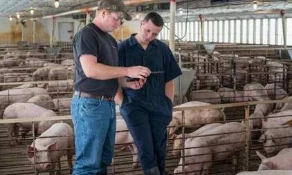 百闻不如一见，外国养电子游艺网站
就是如同神一般的存在！