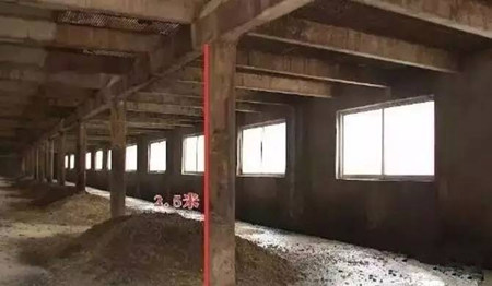 养猪四个月不清粪，从来不冲洗， 完美实现污染零排放！
