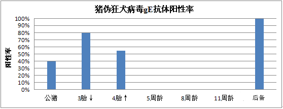 广东某电子游艺网站
一例爆发型猪伪狂犬病的诊断分析