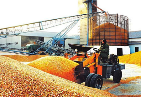 玉米拍卖如此火红的景象能否延续?