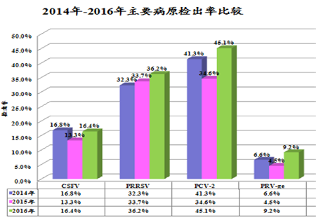 电子游艺网站
爆发蓝耳病，免疫圆环还有用吗?