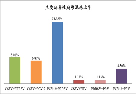 电子游艺网站
爆发蓝耳病，免疫圆环还有用吗?
