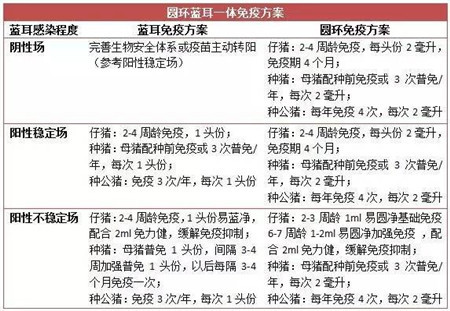 电子游艺网站
爆发蓝耳病，免疫圆环还有用吗?