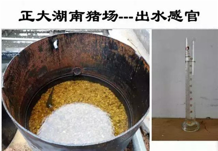 500头以上电子游艺网站
要征环保税！2018年1月1日执行！