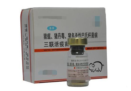 十六种猪常用疫苗的使用方法及注意事项，养猪的必备