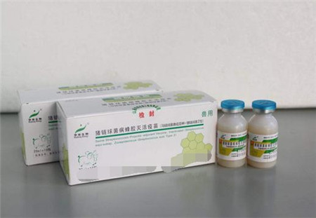 十六种猪常用疫苗的使用方法及注意事项，养猪的必备