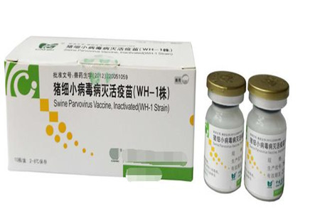 十六种猪常用疫苗的使用方法及注意事项，养猪的必备